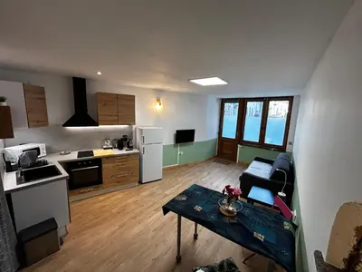 a large kitchen and living room with a table in it at Studio les Rosiers in Quillan