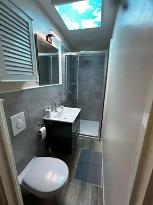 a bathroom with a toilet and a sink and a shower at Studio les Rosiers in Quillan
