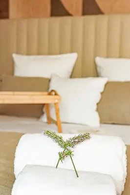 a plant sitting on top of a bed with pillows at Les Gîtes de Laure - L'Eden Romantique, B&B, Spa privatif et Petit Déjeuner, Couloir de nage, 10mn Carcassonne in Malves-en-Minervois