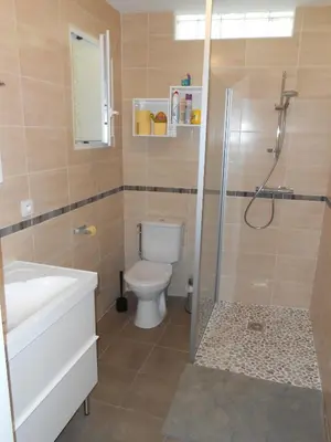 a bathroom with a toilet and a shower and a sink at Superbe villa 4 ch climatisées avec piscine privée in Roquetaillade