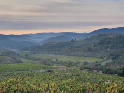 a view of the mountains from the winery at La Barbacane de Cascastel-des-Corbières in Cascastel-des-Corbières