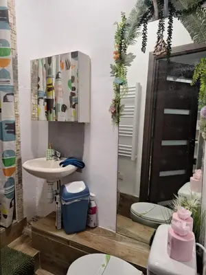 a bathroom with two toilets and a sink and a mirror at Galamus Bonheur - L'art de choisir in Saint-Paul-de-Fenouillet