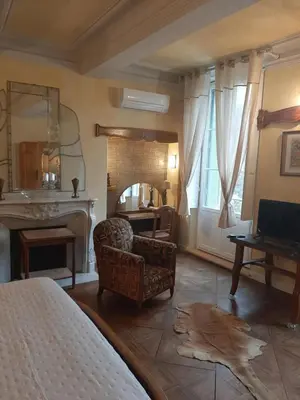a living room with a bed and a fireplace at Chambre Art Déco in Moux