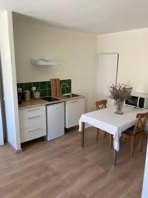 a kitchen with a table with a vase on it at Hyper centre - Ecusson in Castres