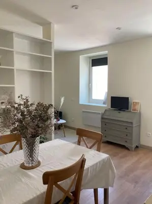a living room with a table with a vase of flowers at Hyper centre - Ecusson in Castres