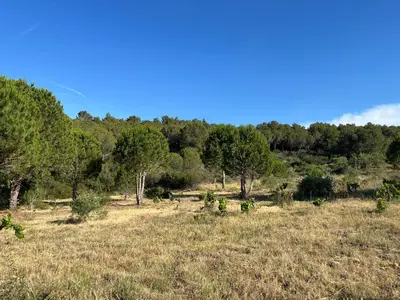 a field of grass with trees in the background at Maison quartier la Campane Narbonne in Narbonne