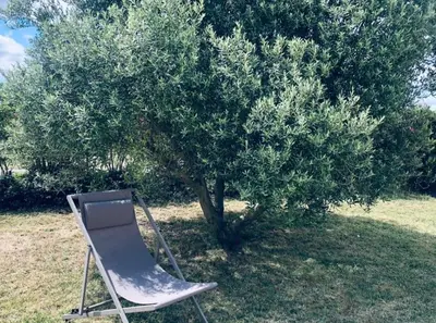 a chair sitting in front of a tree at Studio Peyresol in Villasavary