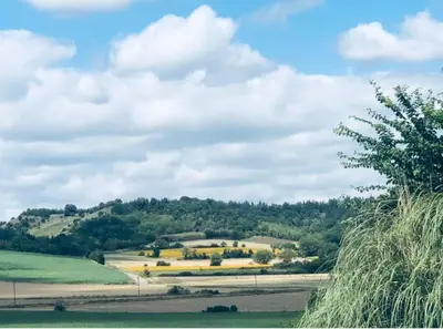 a view of a field with trees on a hill at Studio Peyresol in Villasavary