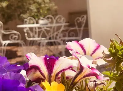 a bouquet of flowers in front of a table at Studio Peyresol in Villasavary