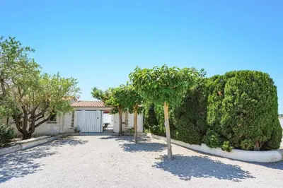 a palm tree in a driveway in front of a house at Villa Le Petit Nid by Villa Plus in Villedaigne