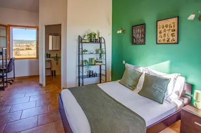 a bedroom with a green wall with a bed at Villa Les Juliannes by Villa Plus in Azillanet
