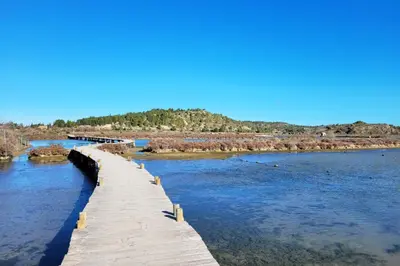 a wooden bridge over a body of water at Villa Terre des Vins by Villa Plus in Portel-des-Corbières