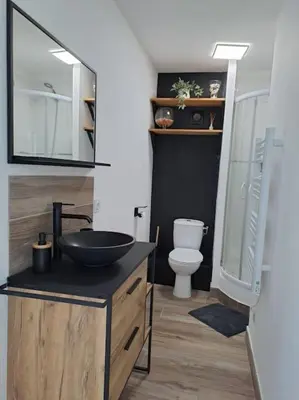 a bathroom with a sink and a toilet at Logement - Carcassonne in Carcassonne