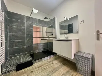 a bathroom with a shower with a sink and a mirror at Chez Pierrot - Pont-Neuf - Vue Cité Médiévale in Carcassonne