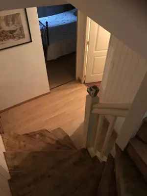 a cat is sitting on the stairs of a room at 5bis in Quillan