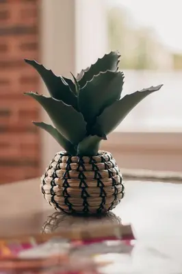 a plant in a pineapple sitting on a table at Villa Terra Mera piscine privée proche de Narbonne in Cuxac-dʼAude