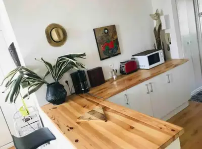 a kitchen with a wooden counter top with a plant on it at Appartement T2 avec vue château in Carcassone