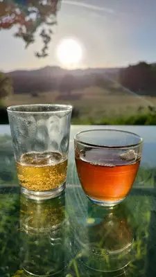 two glasses of tea sitting on top of a table at Maison NATURALY in Laprade