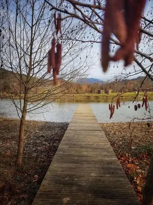 a wooden path leading to a lake with a tree at La maison des Chevaliers in Campagne-sur-Aude