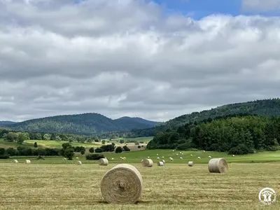 a field full of hay bales in a field at Gite du tatou in Roquefeuil