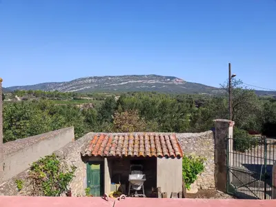a small house with a roof with a mountain in the background at Maison vigneronne in Ribaute
