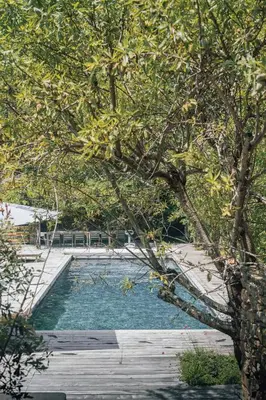 a swimming pool next to a tree and a wooden deck at Fount Estremiero Apartment wellness and pool shared with B&B in Castans