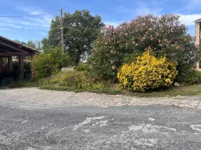 a bush with flowers on the side of a road at Gîte Appartement à la campagne in Lautrec