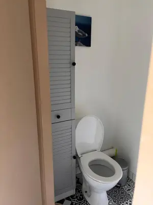 a bathroom with a white toilet and a cabinet at Gîte Appartement à la campagne in Lautrec