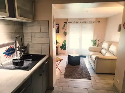 a kitchen and living room with a sink and a couch at Studio Goya climatisé et jardin 2 nuits minimum in Castres