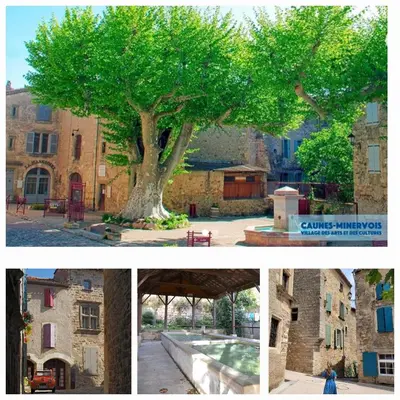 a collage of pictures of a tree in a city at Villa au calme, tout confort clim piscine wifi 7 personnes in Caunes-Minervois