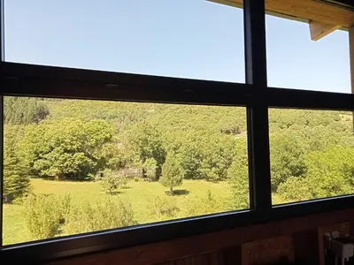 a window looking out at a field of trees at Ecogîtes Camparols in Prémian