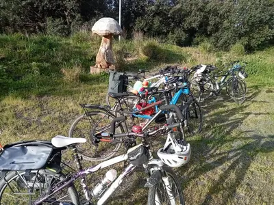 a row of bikes parked in a field at Ecogîtes Camparols in Prémian