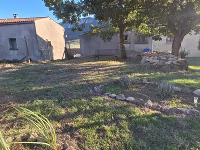 a yard with a building and a tree and grass at Chez Loulou du Linas - Bugarach in Bugarach