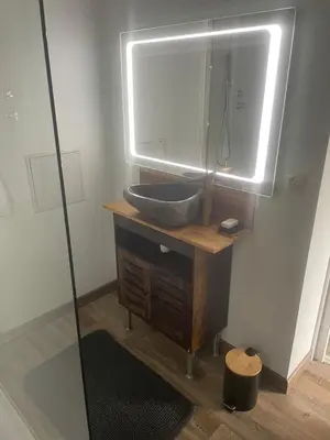 a bathroom with a sink and a mirror at Chez Anna et JL in Navès