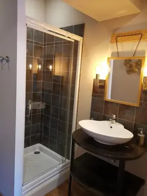 a bathroom with a sink and a shower at Le Belvédère St Gimer in Carcassonne