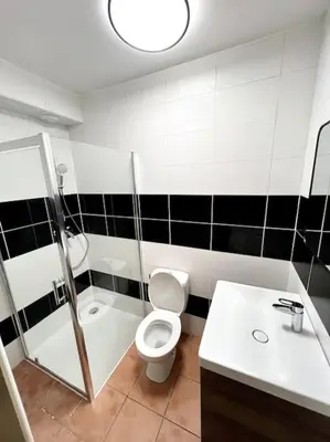 a bathroom with a toilet and a shower and a sink at Les chambres de la bastide - 103 in Carcassonne