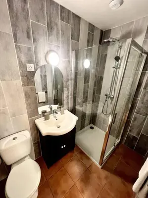 a bathroom with a toilet and a shower and a sink at Les chambres de la bastide - 105 in Carcassone