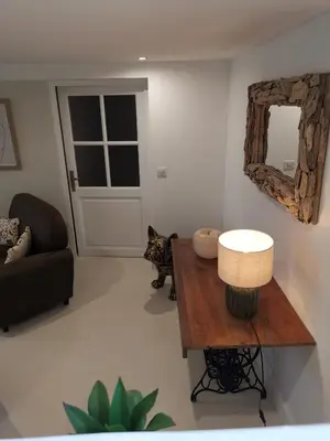 a living room with a table and a cat in it at Le Clos Barbacane in Carcassone