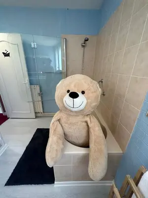 a large teddy bear sitting on a toilet in a bathroom at Hotel Castres Chambre Simple in Castres