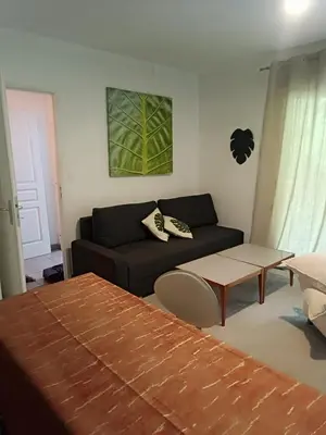 a living room with a couch and a table at Charmant T2 proche centre ville in Narbonne