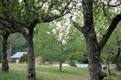 a group of trees in a park with a pool at La Hulotte in Mazamet