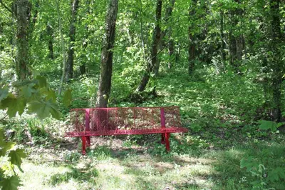 a red bench sitting in the middle of a forest at La Hulotte in Mazamet