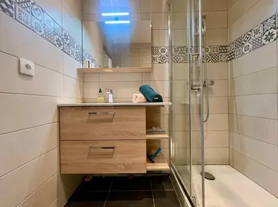 a bathroom with a shower and a sink at 147 - Vue Cité Médiévale et Parking in Carcassonne