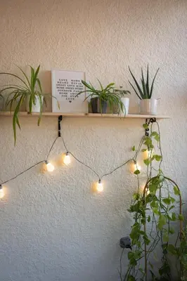 a shelf with plants and lights on a wall at Les Deux Petits Pois in Fanjeaux