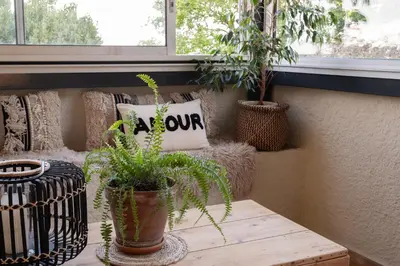 a room with a table with plants and a window at Les Deux Petits Pois in Fanjeaux