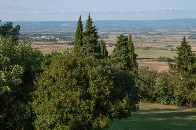 a group of trees on top of a hill at Les Deux Petits Pois in Fanjeaux