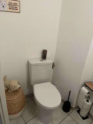 a bathroom with a toilet and a stuffed animal on the floor at Chambre avec vue panoramique sur la Cité Médiévale in Carcassonne