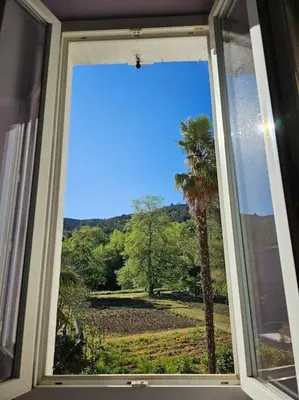 a window with a view of a palm tree at Agréable maison au bord de la rivière in Campagne-sur-Aude
