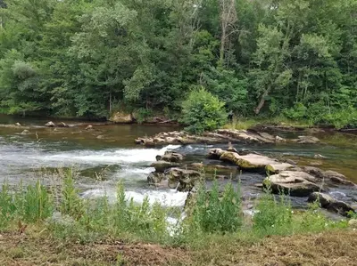 a river with rocks in the water and trees at Agréable maison au bord de la rivière in Campagne-sur-Aude
