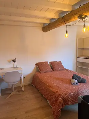 a bedroom with a bed and a desk and a table at Charmant appartement centre ville de Castres in Castres